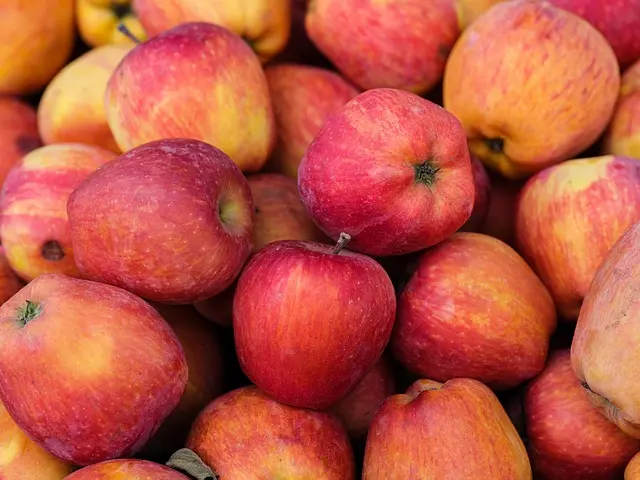Fruits de Saison à Déguster en Mars : Bienfaits et Recettes