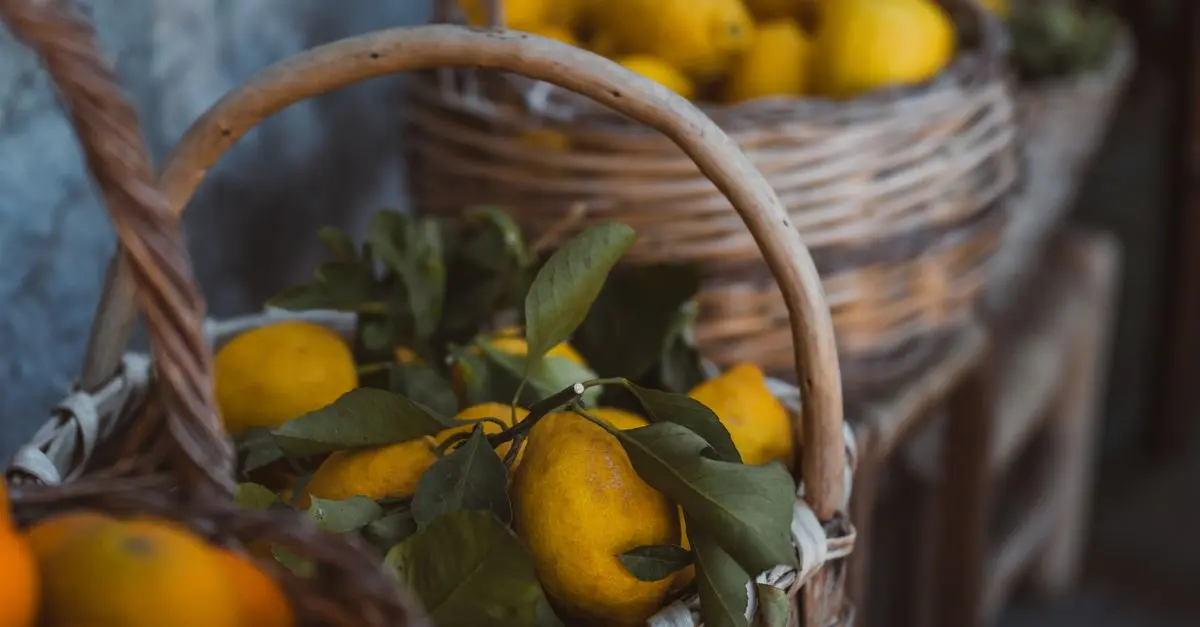 Les Fruits de Saison à Déguster au Printemps : Guide Complet
