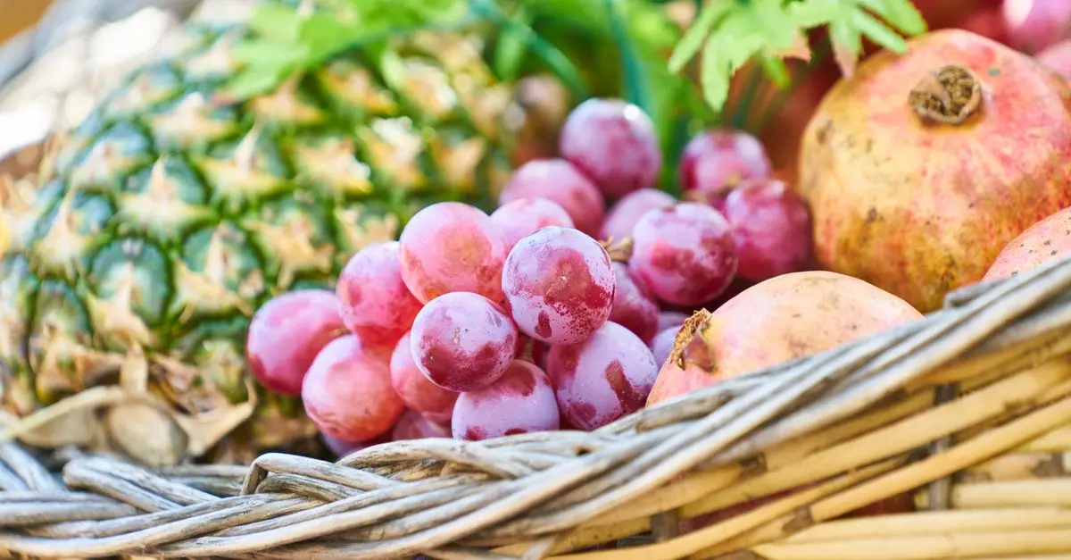 Guide pratique : Sécher et déshydrater ses fruits