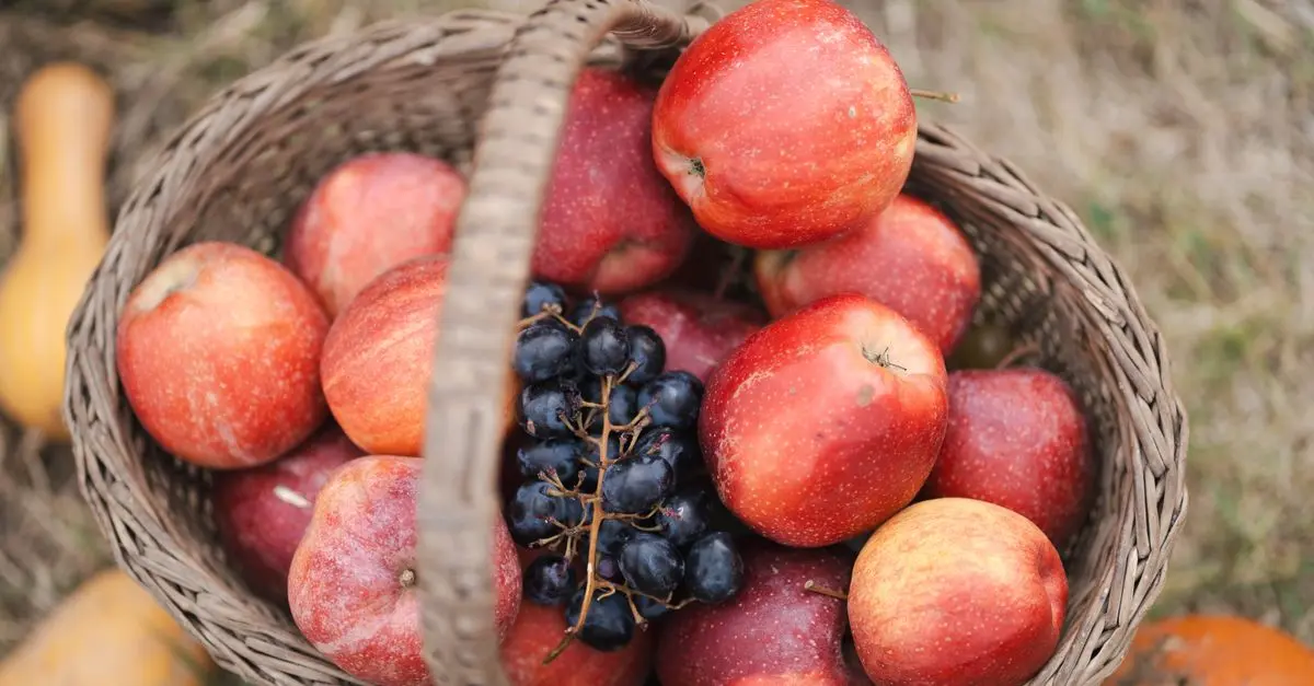 Top 5 des fruits de saison à découvrir en automne