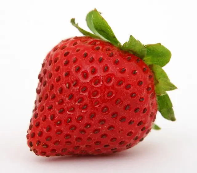 Fruits de Saison à Implanter dans Votre Jardin