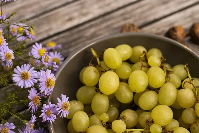Les Fruits de Saison à Déguster en Mars : Recettes Savoureuses