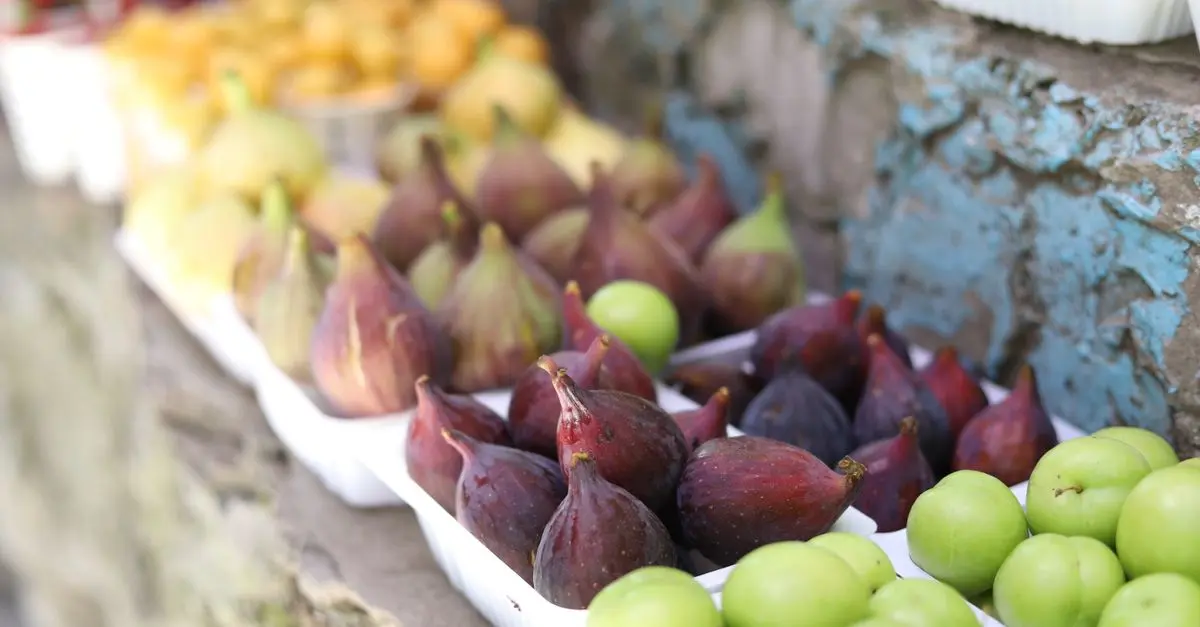 Comment Déguster les Fruits de Saison Pour Booster Votre Santé