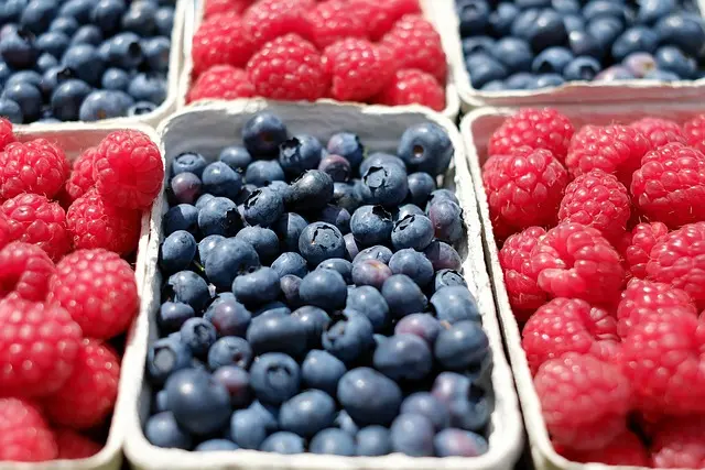 Bienfaits des Fruits de Saison : Pourquoi les Consommer