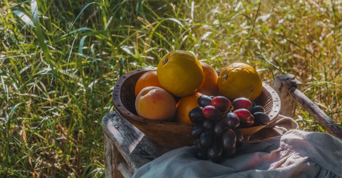 Projet : Cultiver vos propres fruits de saison à la maison