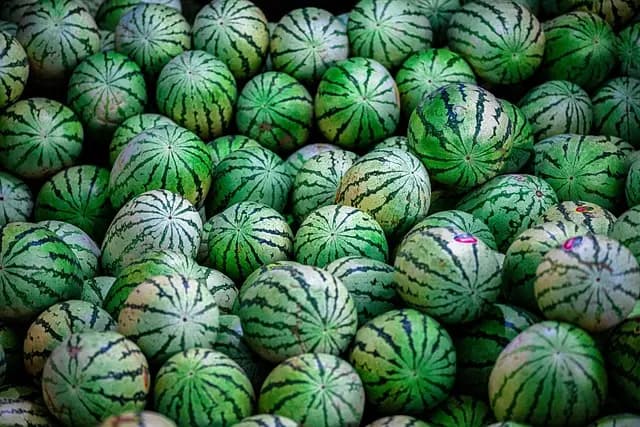 Les Fruits de Saison à Découvrir en Juillet : Bienfaits et Recettes