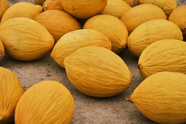 Comment bien choisir vos fruits de saison au marché