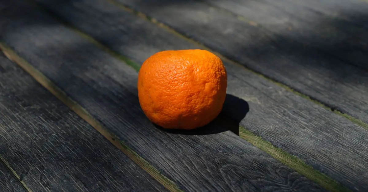 Savourer les Fruits d'Été : Les Incontournables de la Saison