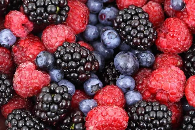Les bienfaits cachés des fruits de saison à découvrir