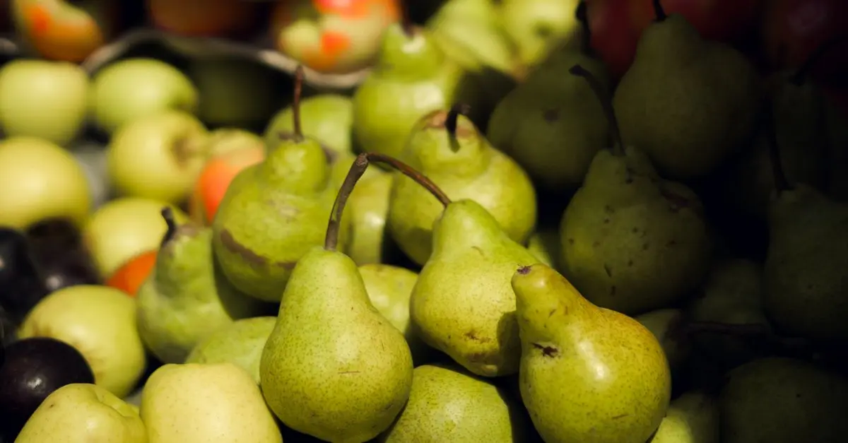 Les Fruits de Saison à Déguster en Automne : Saveurs et Bienfaits