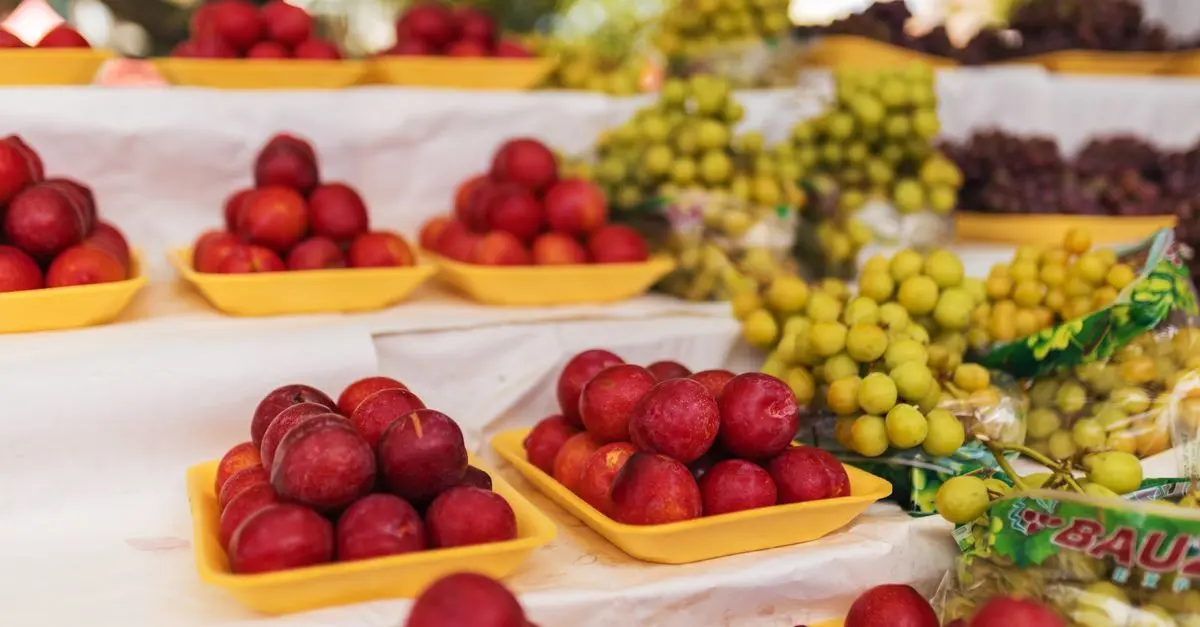 Les fruits de saison : Guide pour bien les choisir