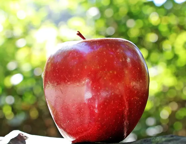 Les Fruits de Saison à Déguster en Automne : Saveurs et Bienfaits