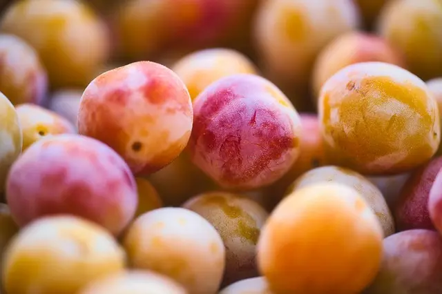 Top 10 des Fruits de Saison à Ne Pas Manquer