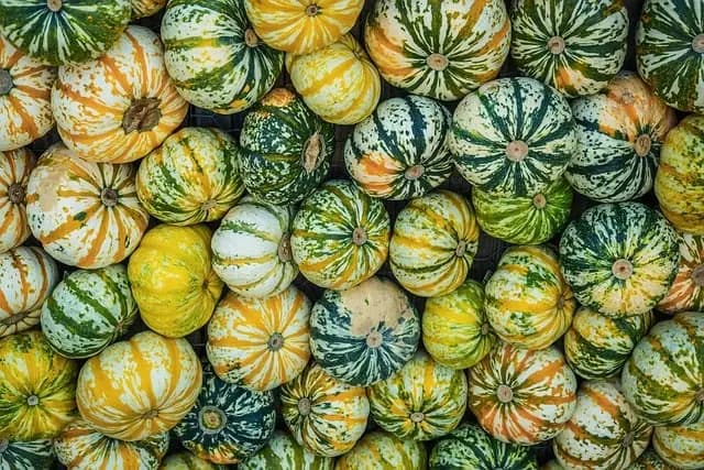 Fruits de Saison à Déguster en Octobre : Recettes et Bienfaits
