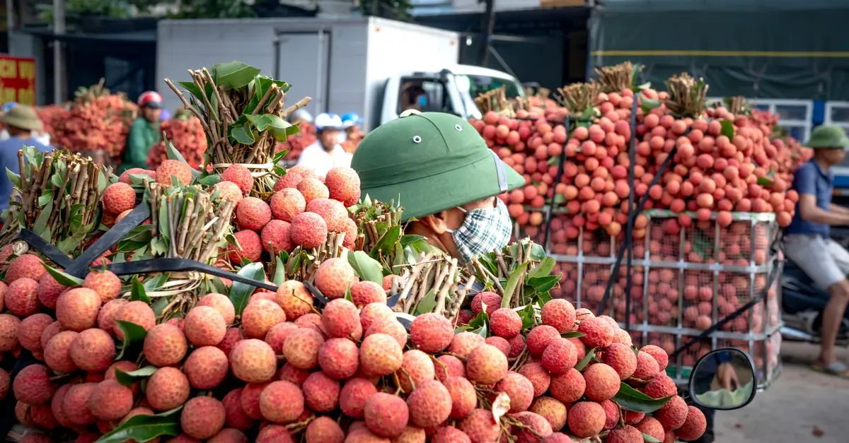 Comment choisir ses fruits de saison au marché