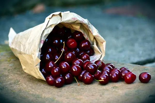 Comprendre l'Importance des Fruits de Saison pour la Santé