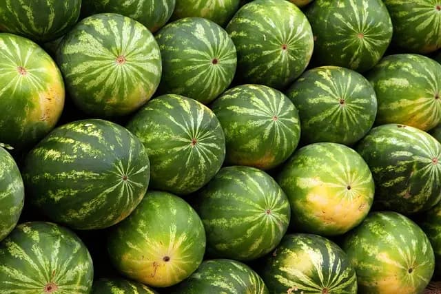 Pourquoi Manger des Fruits de Saison est Essentiel pour Votre Santé