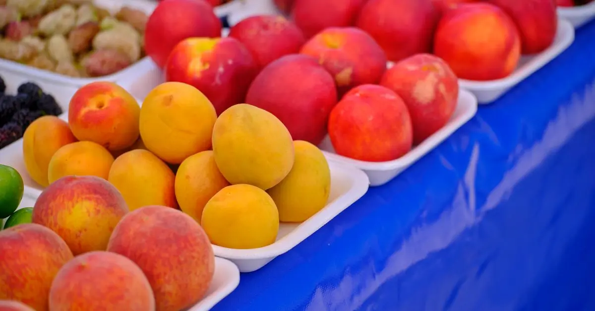 Les fruits de saison à déguster en janvier : vitaux et délicieux