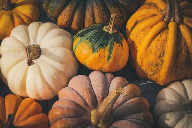 Les Fruits de Saison à Déguster pour Renforcer Votre Immunité