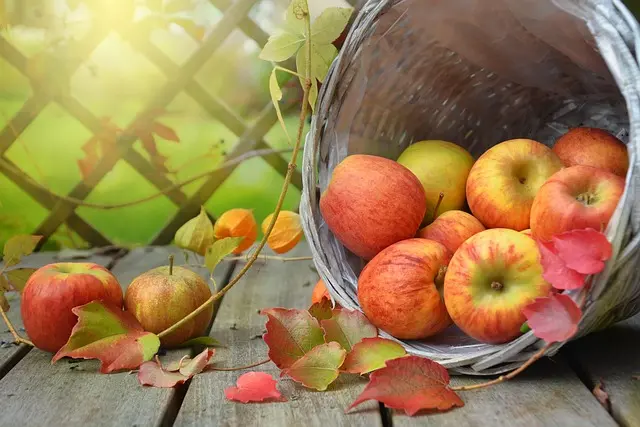 Les 10 Fruits de Saison à Ne Pas Manquer en Automne