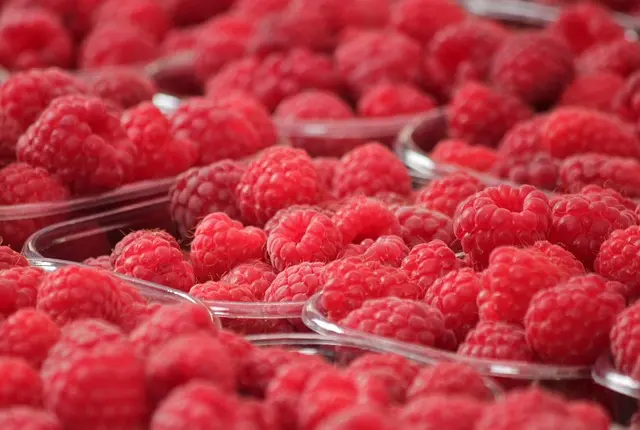 Les Fruits de Saison : Comment Les Intégrer dans Votre Alimentation