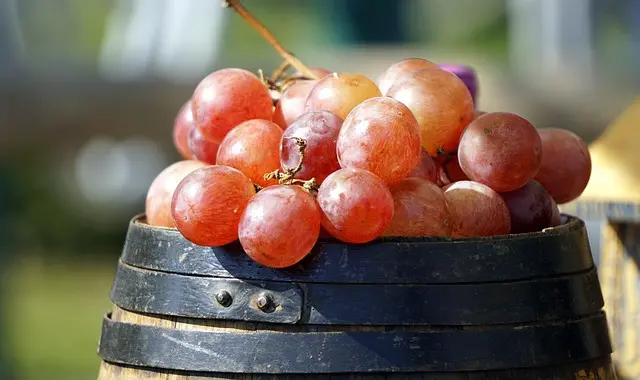 Les Fruits de Saison : Choisir au Fil des Mois