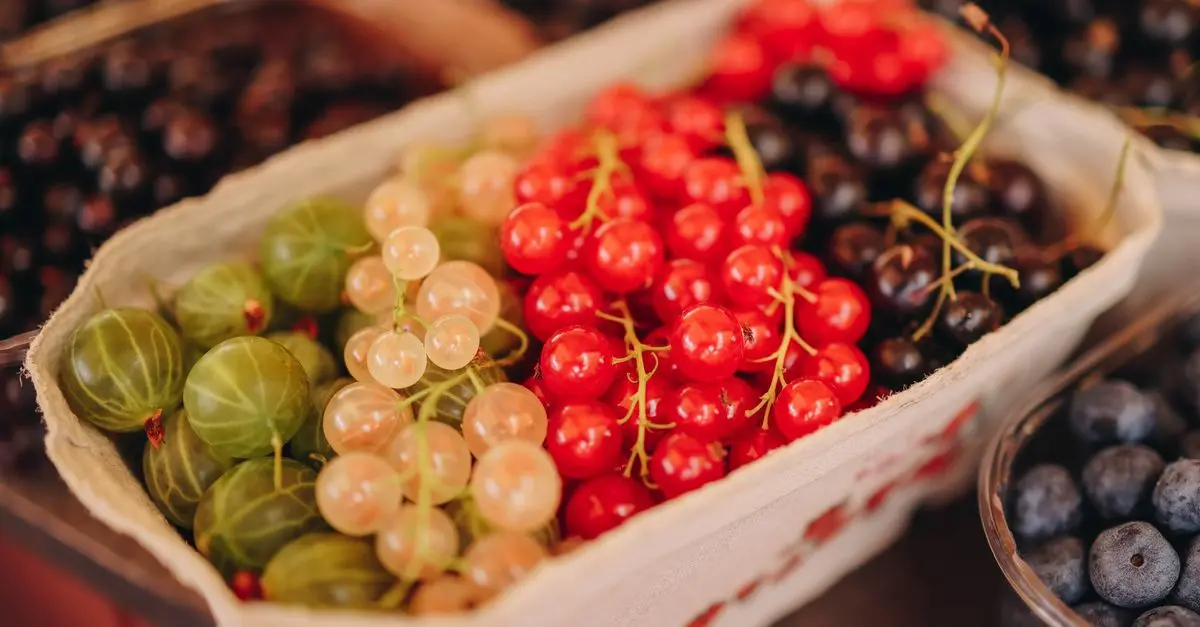 Fruits de Saison : Comment Bien les Choisir au Marché