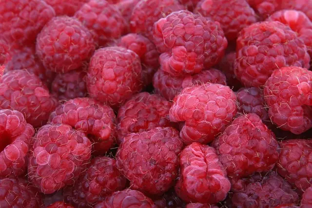 Pourquoi choisir des fruits de saison pour votre santé