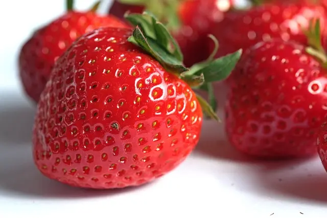Les Fruits de Saison à Découvrir en Janvier : Bienfaits et Recettes