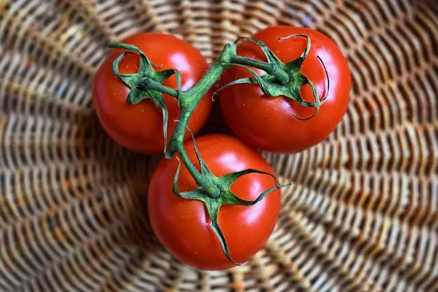 5 Fruits de Saison à Déguster en Mars : Bienfaits et Recettes