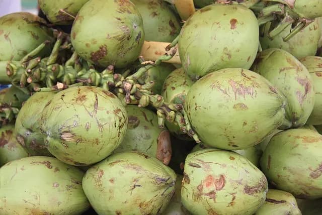 Les Fruits de Saison en Hiver : Saveurs et Bienfaits à Découvrir