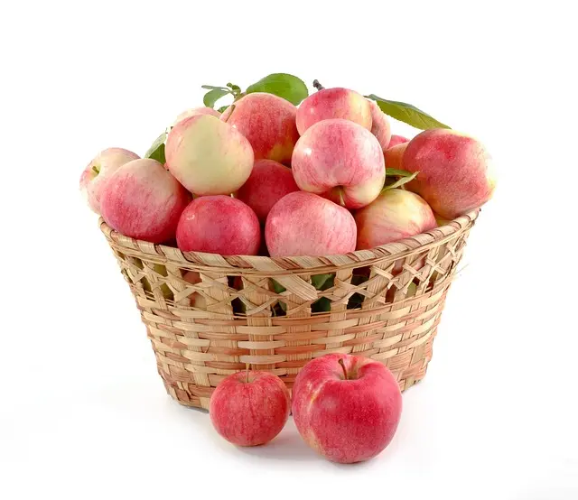 Les 10 Fruits de Saison Uniques à Découvrir Ce Mois