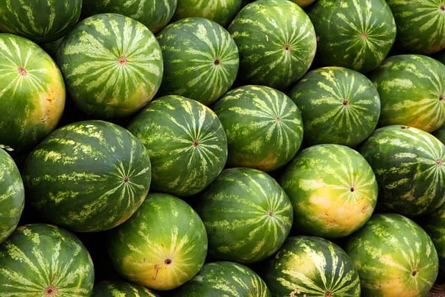 Le guide des fruits de saison : Les incontournables à déguster