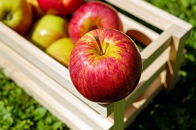 Les Bienfaits des Fruits de Saison : Pourquoi les Consommer?