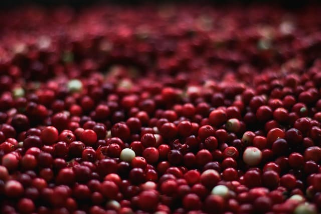 Les Tendances des Fruits de Saison en 2026 : Quoi de Neuf?