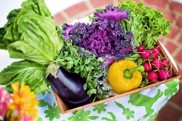 Les Meilleurs Fruits de Saison pour Avril : Recettes et Bienfaits