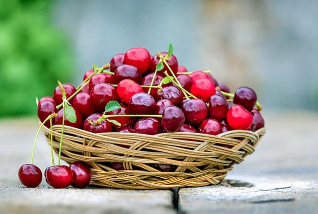 5 Fruits de Saison à Ne Pas Manquer en Printemps