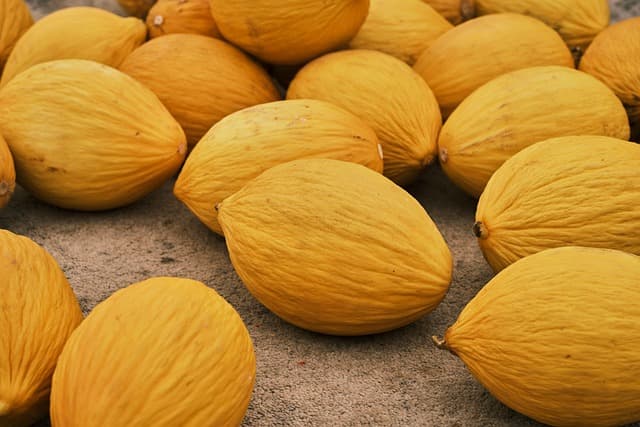 Fruits de Saison en Mars : Bienfaits et Astuces Pratiques