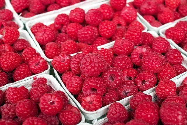 Guide Pratique pour Choisir les Fruits de Saison au Marché