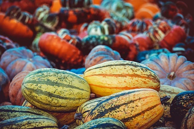 Les fruits de saison : Comment les choisir pour votre santé