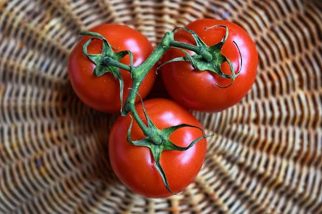 Les Fruits de Saison : Comment les Choisir pour votre Santé