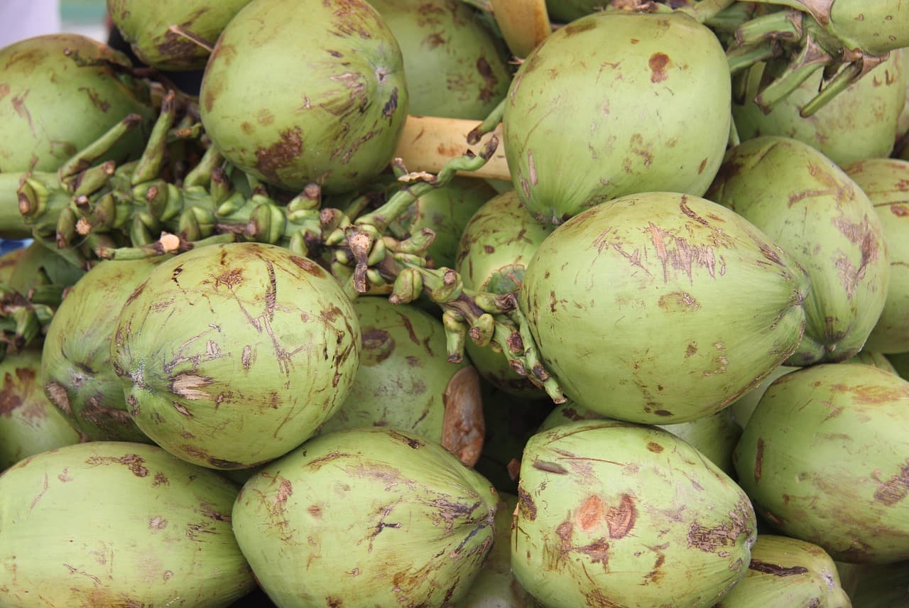 Les Fruits de Saison à Déguster au Printemps : Guide Complet