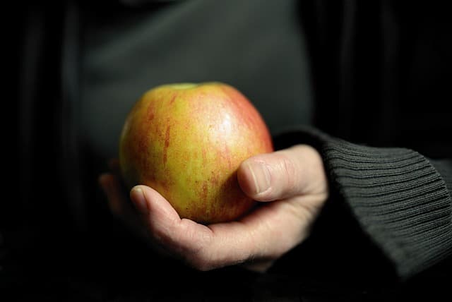 Comment choisir les fruits de saison pour votre santé