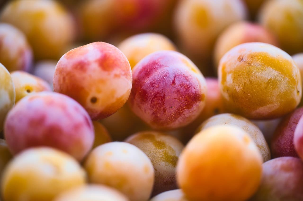 Quel fruit de saison choisir selon vos envies?