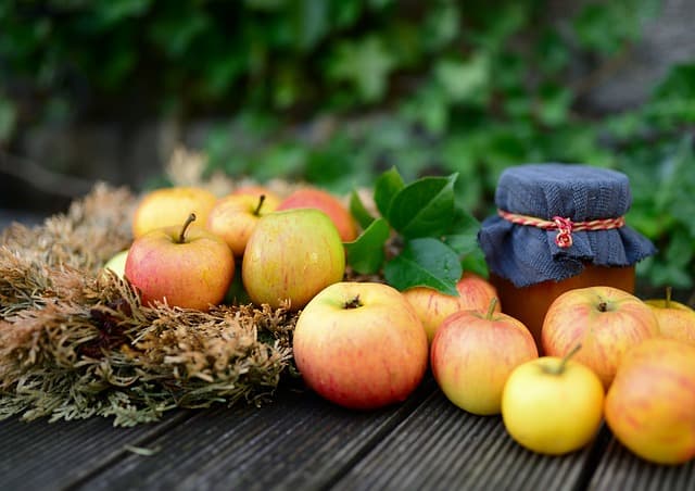 Fruits de Saison à Privilégier en Automne : Bienfaits et Recettes