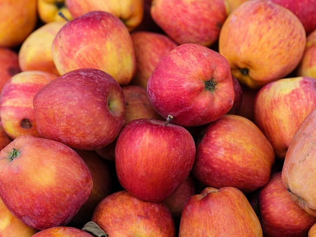 Le Calendrier des Fruits de Saison : Un Guide Complet
