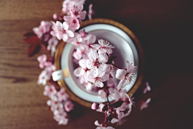 Top 5 des fruits de saison à savourer au printemps